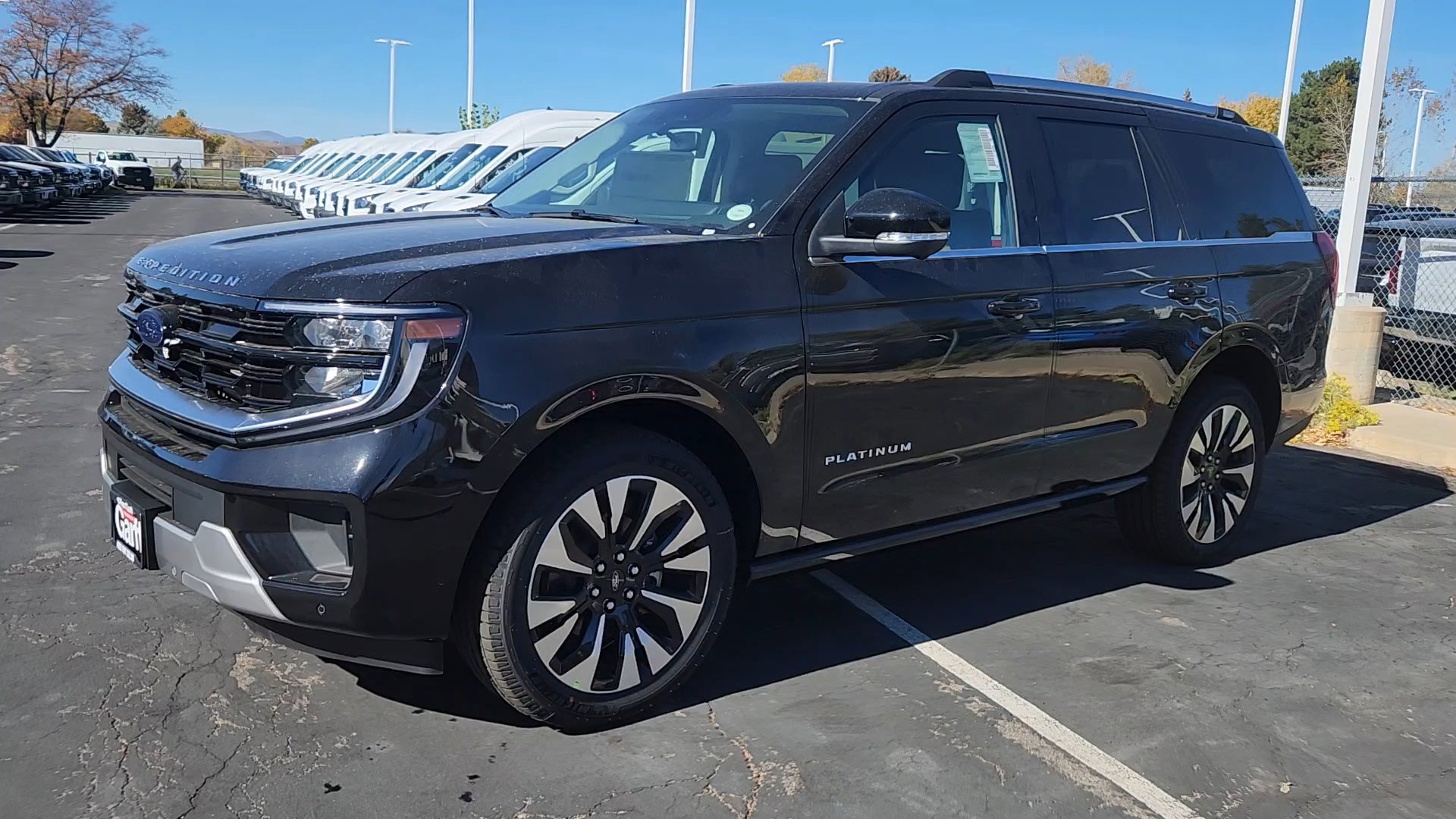 2025 Ford Expedition Platinum photo 3