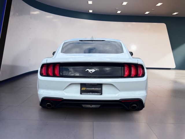 2023 Ford Mustang EcoBoost photo 4