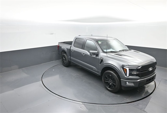 2025 Ford F-150 Platinum photo 17