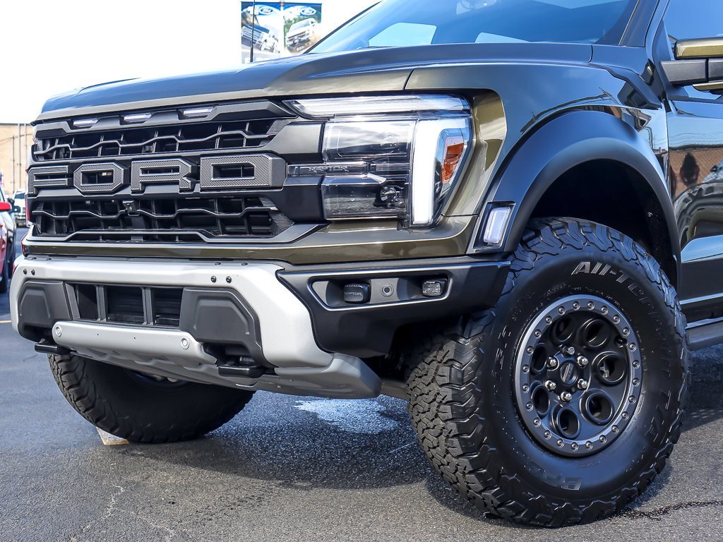 2025 FORD F-150 - Image 1