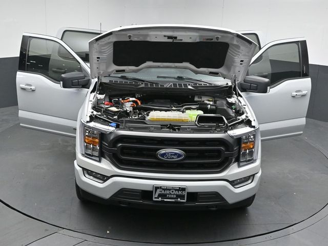 2023 FORD F-150 - Image 54