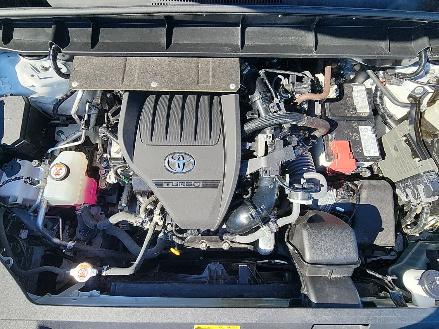 2023 Toyota Highlander XLE photo 19