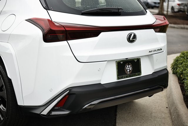 2024 Lexus UX 250h F SPORT Handling photo 9