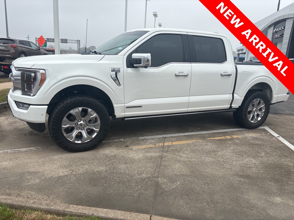2023 Ford F-150 Platinum
