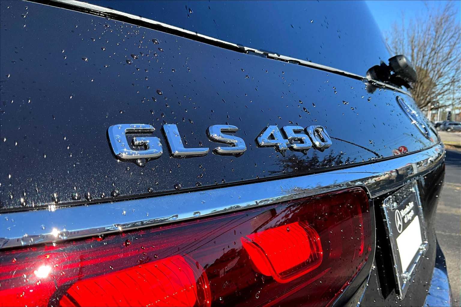 2025 Mercedes Benz GLS 450 4MATIC photo 14