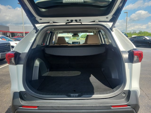 2019 Toyota RAV4 XLE photo 8