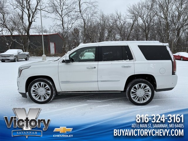 2019 Cadillac Escalade Platinum's photo