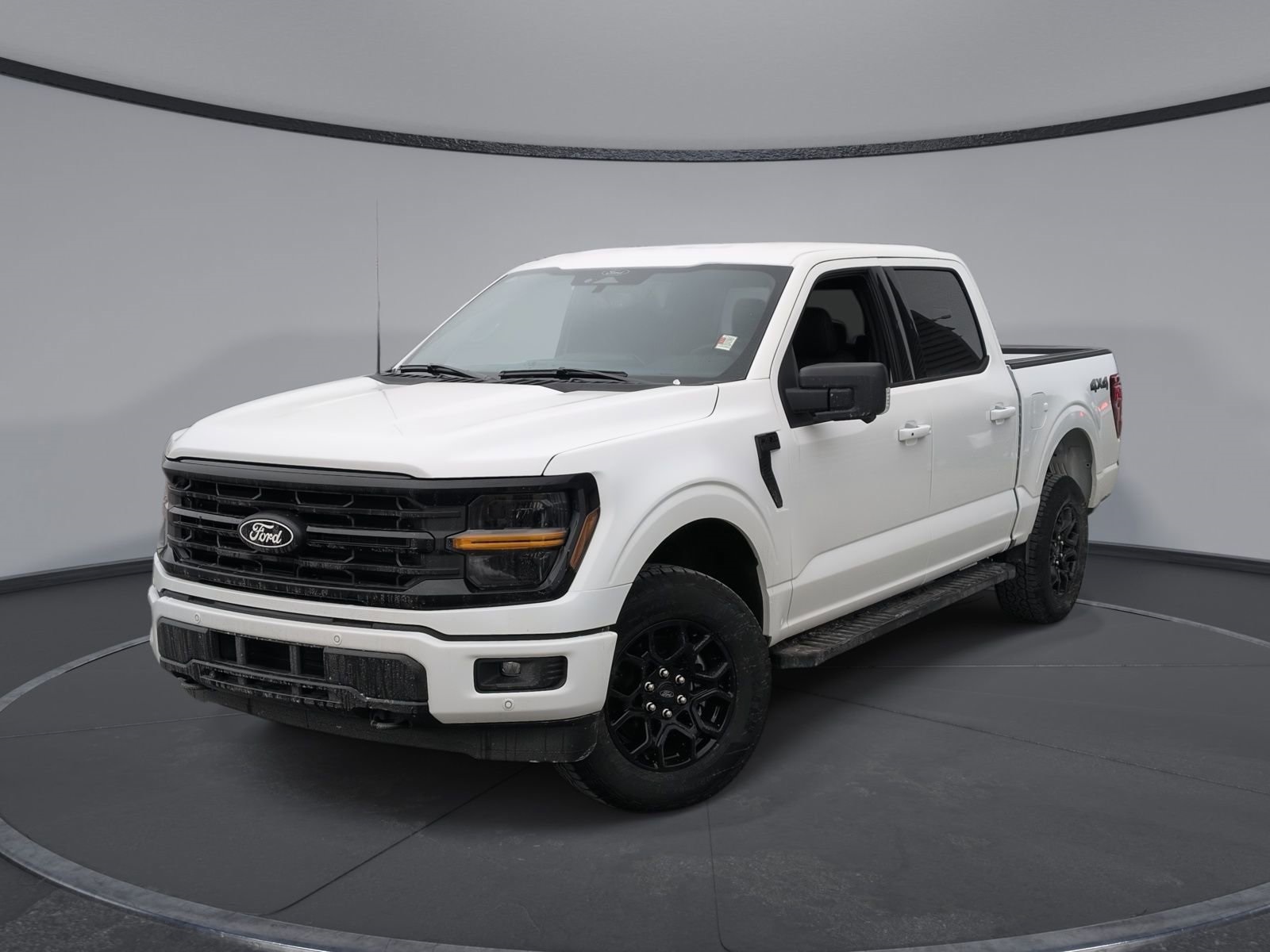 2025 Ford F-150 XLT's photo