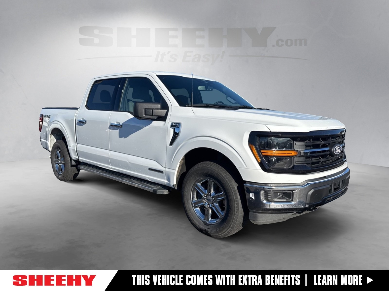 2024 Ford F-150 XLT's photo