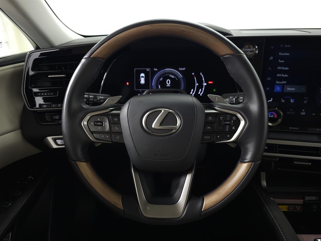 2024 Lexus RX 350h photo 16