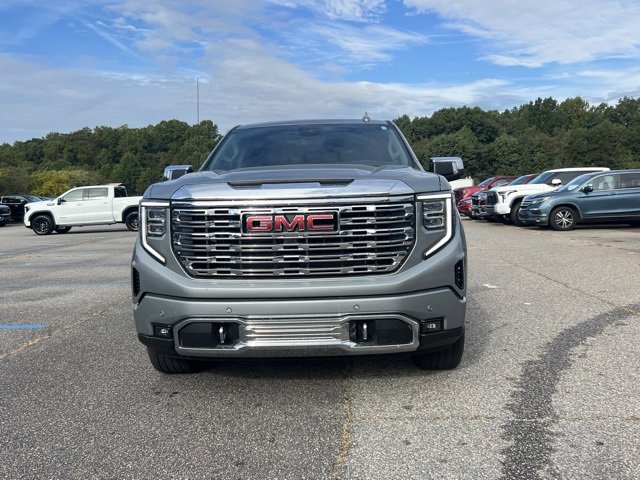 2025 Gmc Sierra 1500 Denali photo 8