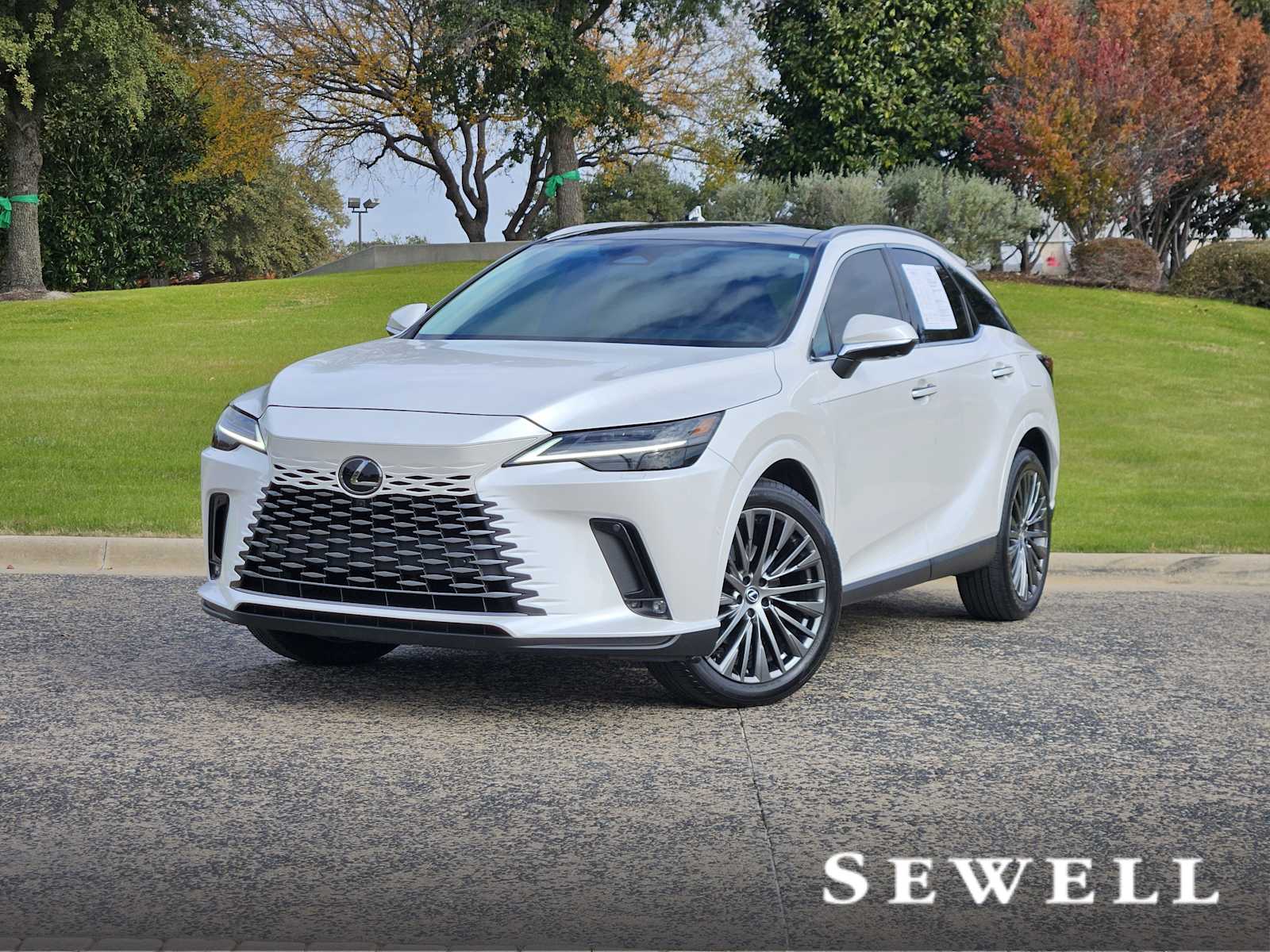 2024 Lexus RX 350's photo