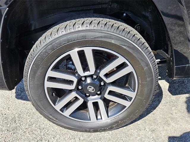 2023 Toyota 4Runner Limited photo 9