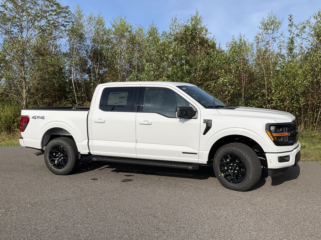 2025 Ford F-150 XLT's photo