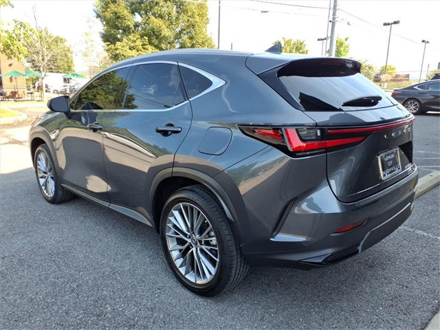 2023 Lexus NX 350h Luxury photo 4