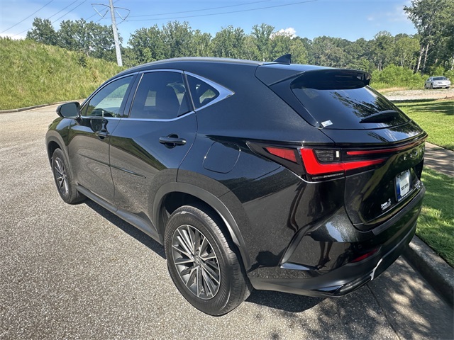 2025 Lexus NX 350h photo 3