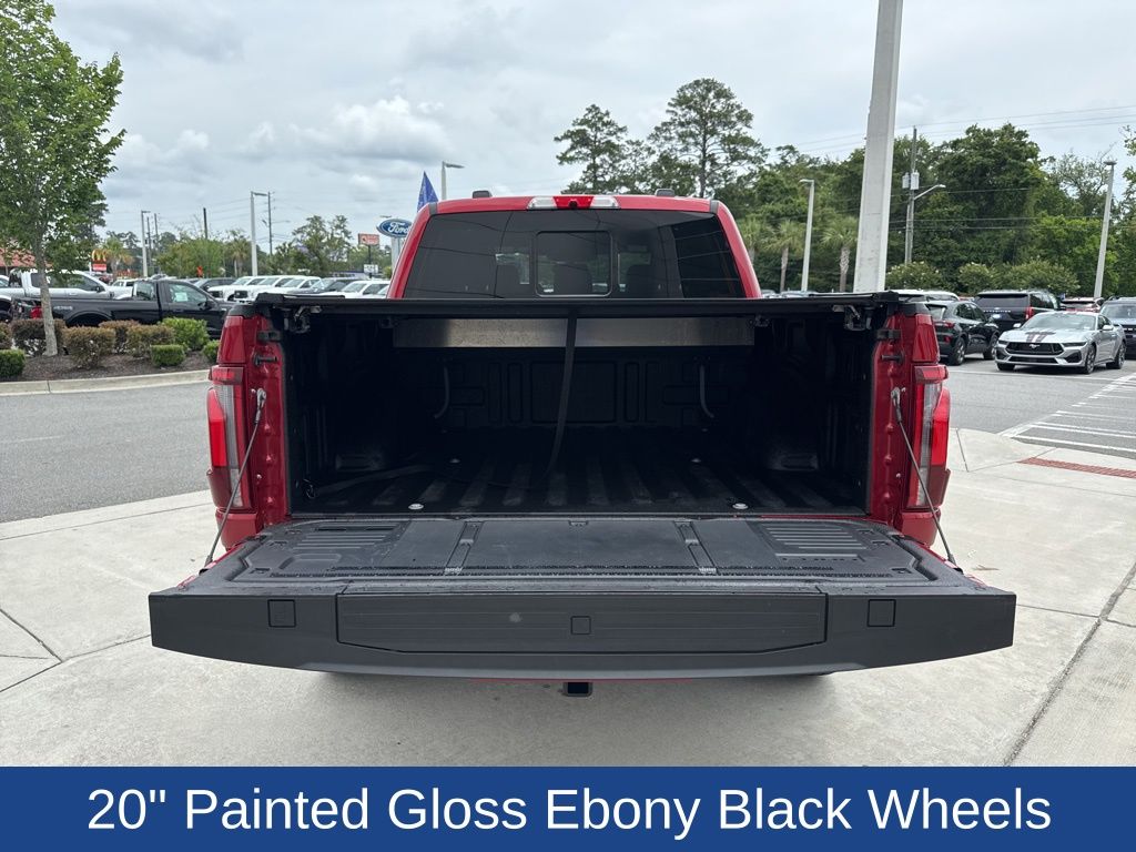 2024 Ford F-150 Platinum photo 9