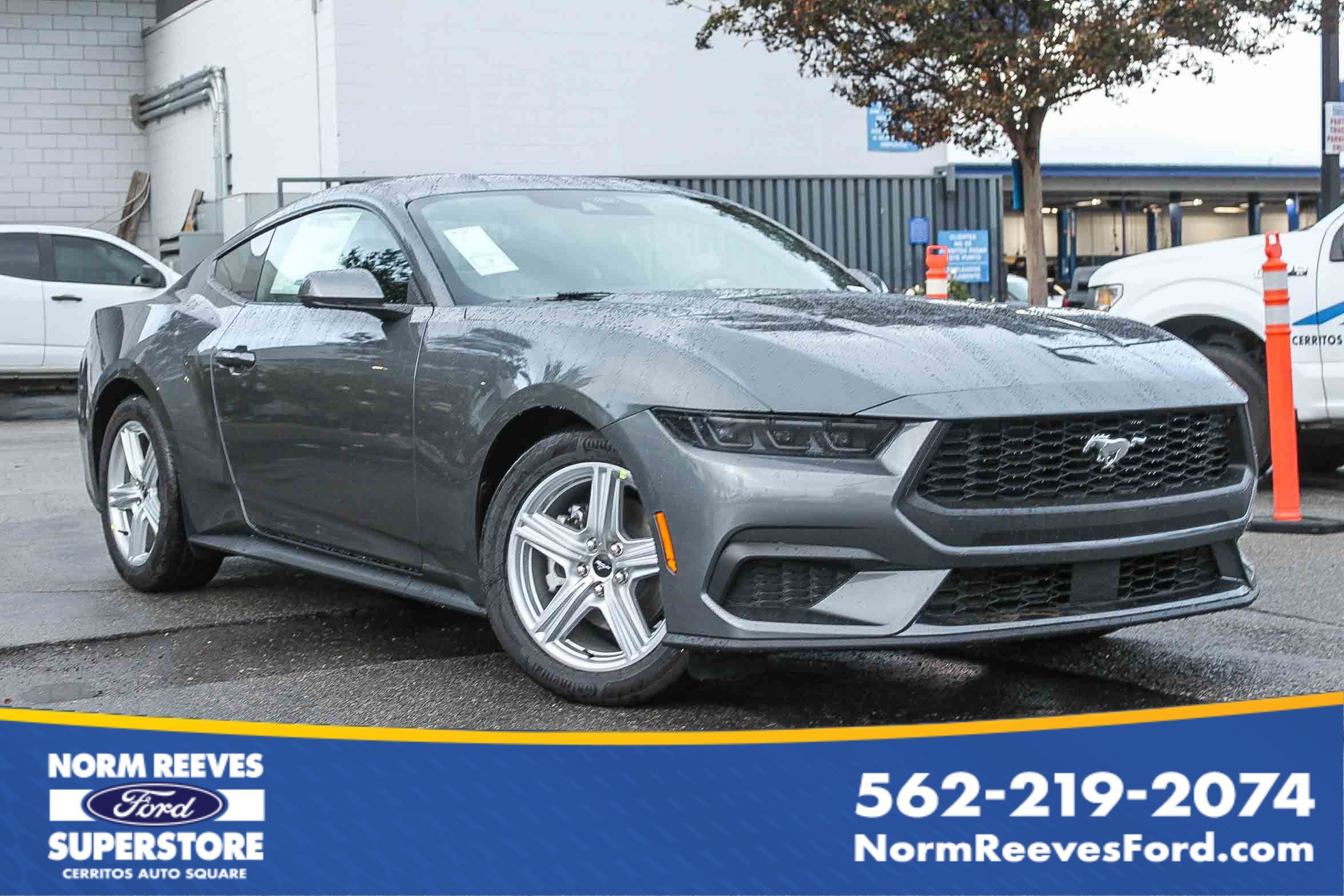 2026 Ford Mustang EcoBoost's photo