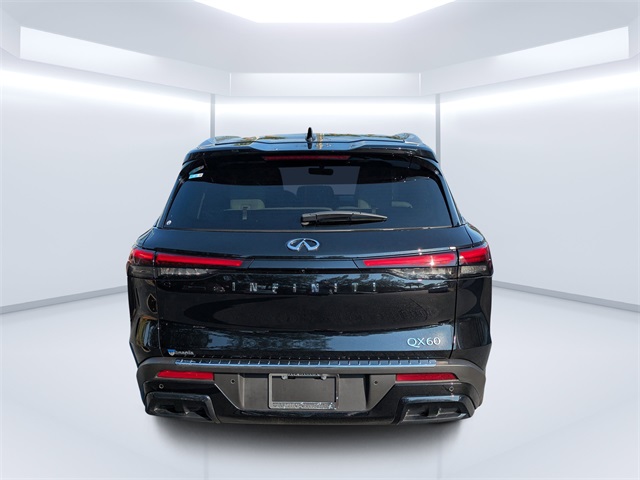 2025 Infiniti QX60 Luxe photo 3