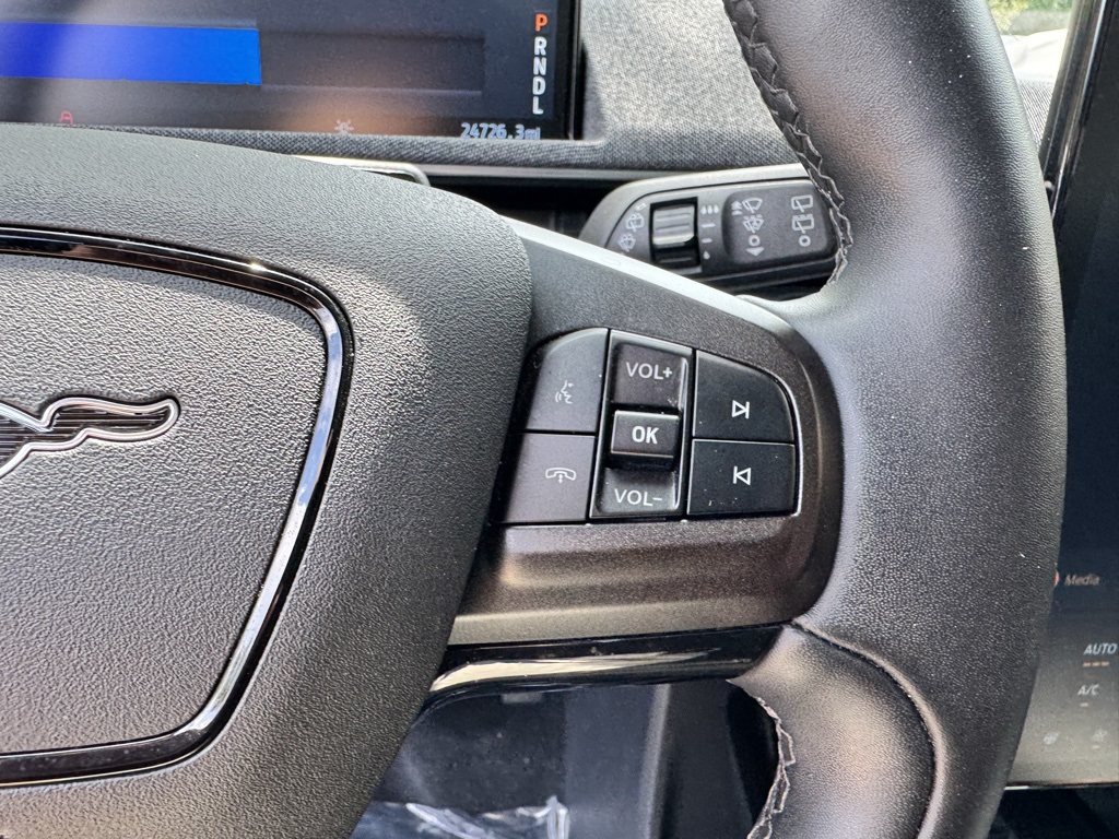 2021 Ford Mustang Mach-E Premium photo 20