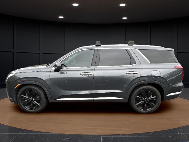 2023 Hyundai Palisade Limited photo 2