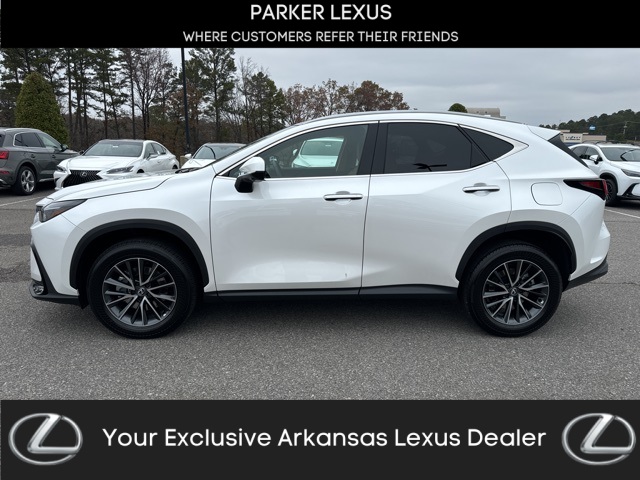 2025 Lexus NX 350's photo