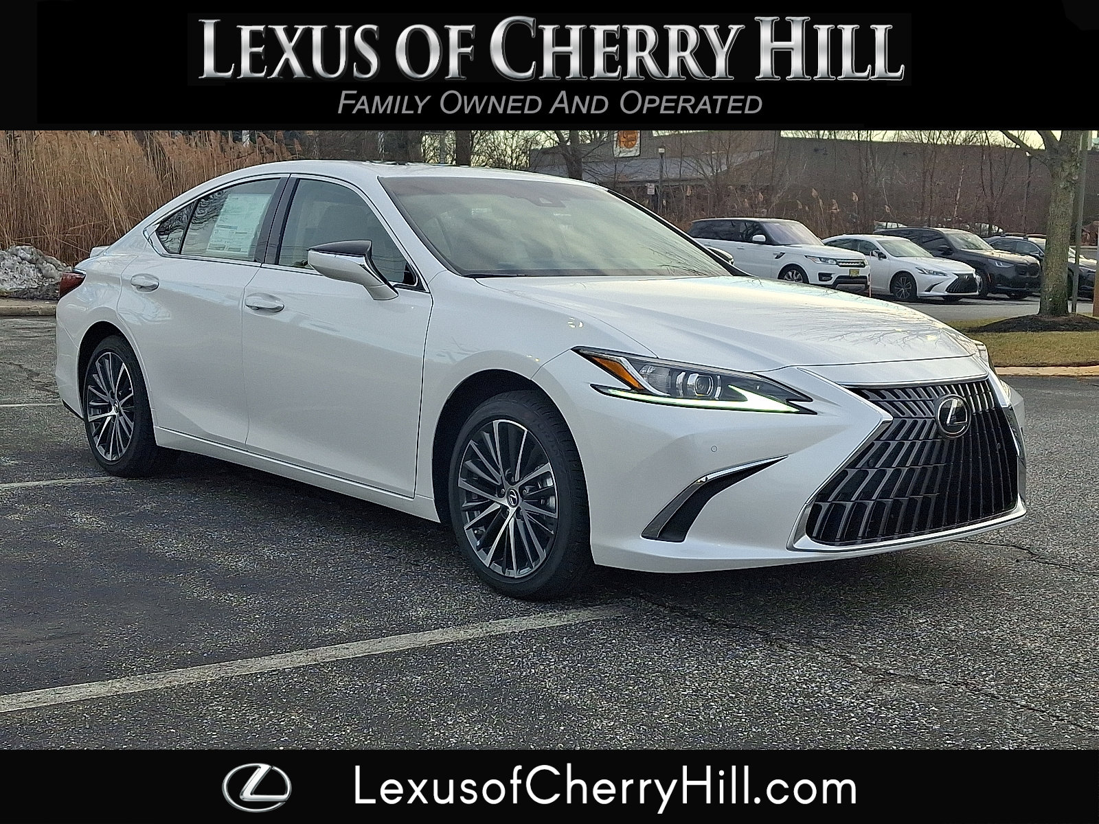 2025 Lexus ES Base's photo