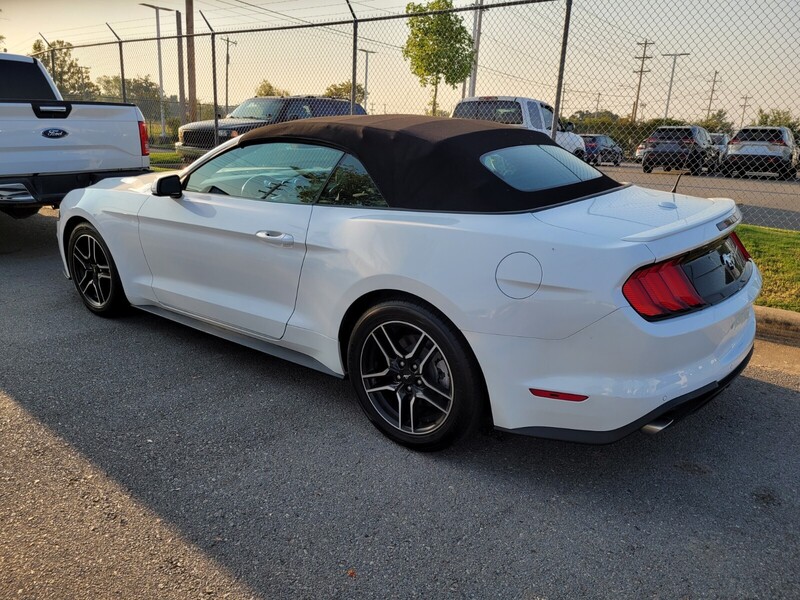 2023 Ford Mustang EcoBoost Premium Convertible photo 3