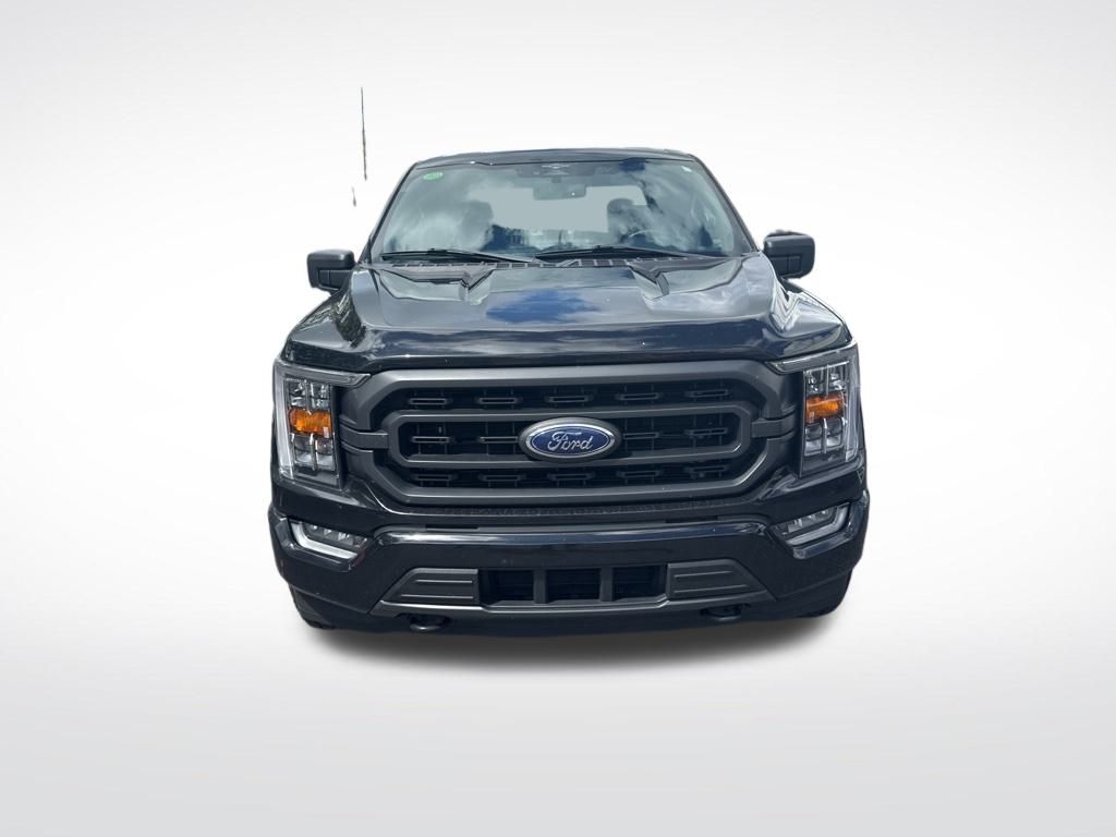 2023 Ford F-150 XLT photo 3