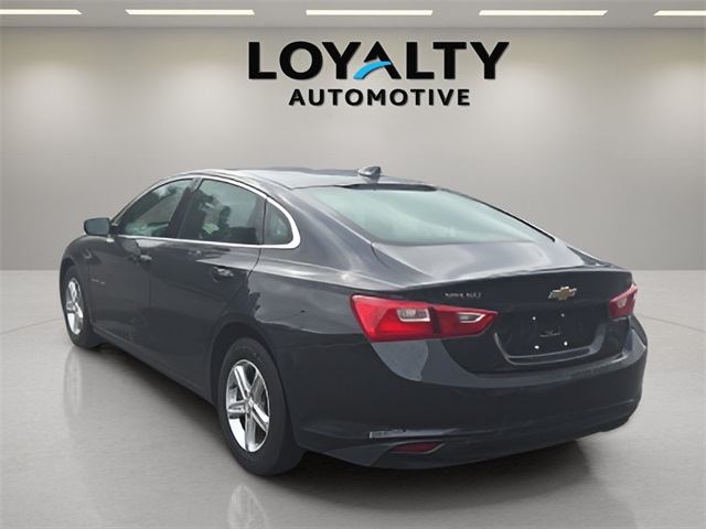 2023 Chevrolet Malibu 1LT photo 3
