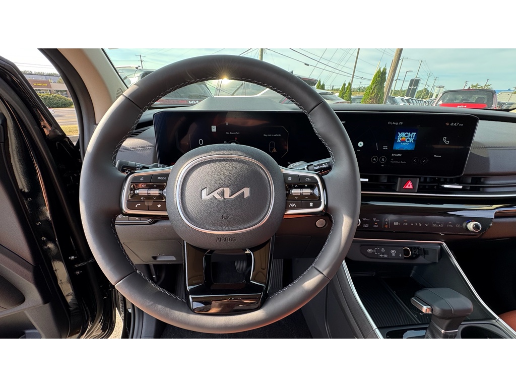 2026 Kia Carnival SX Prestige photo 6