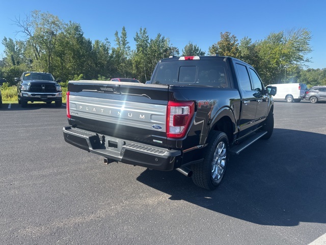 2022 Ford F-150 Platinum photo 7