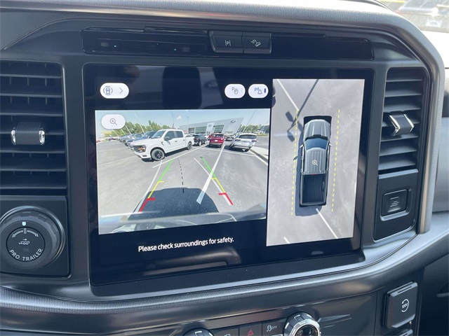 2025 Ford F-150 Platinum photo 9