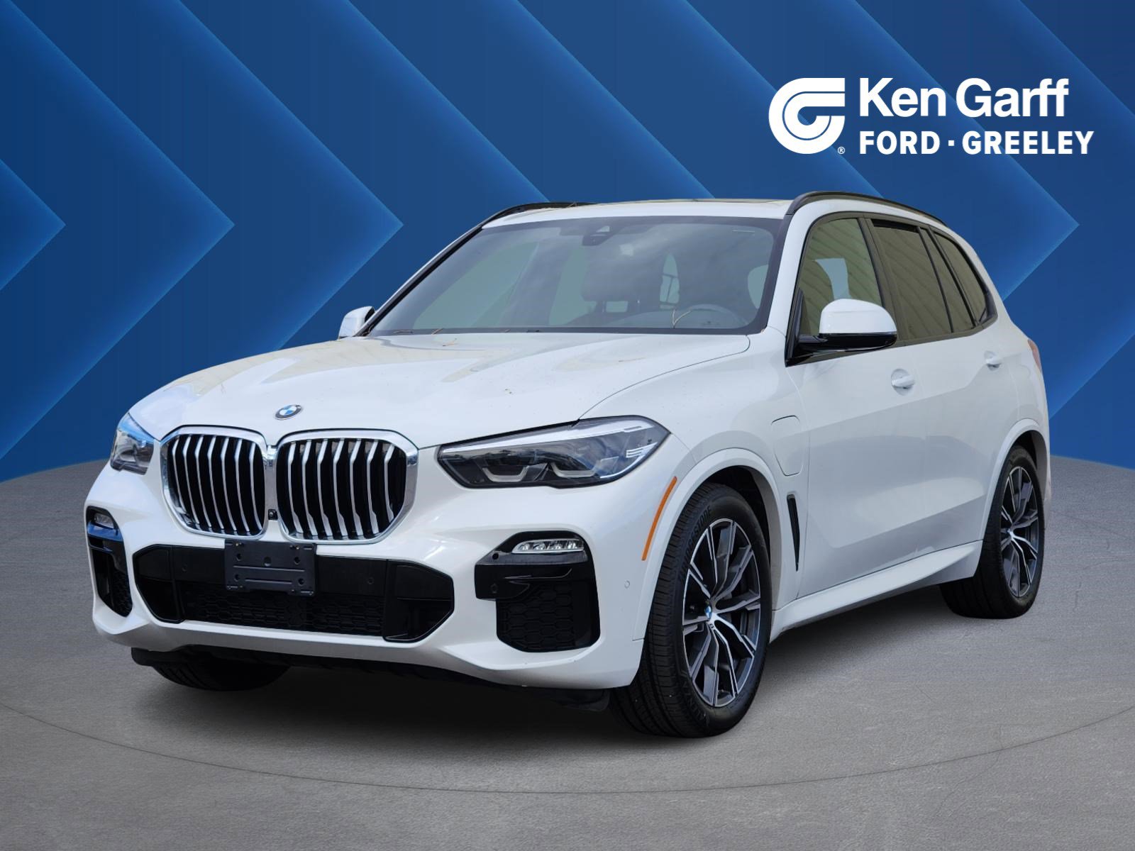 2021 BMW X5 45e's photo