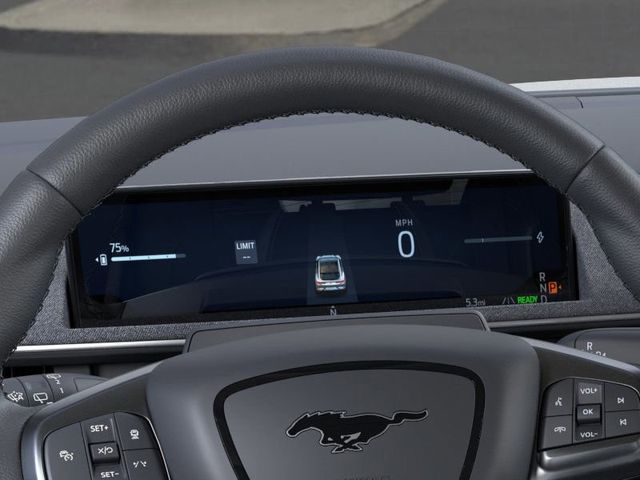 2025 Ford Mustang Mach-E Premium photo 12