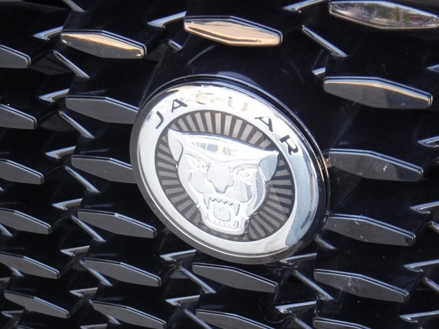 2025 Jaguar F-PACE P250 R-Dynamic S photo 7