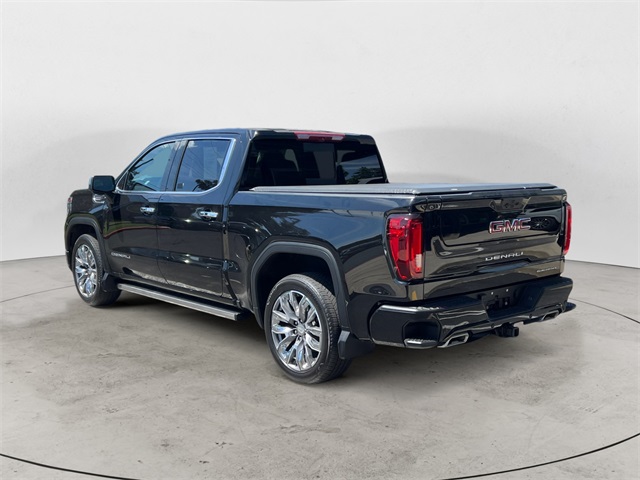 2024 Gmc Sierra 1500 Denali photo 3