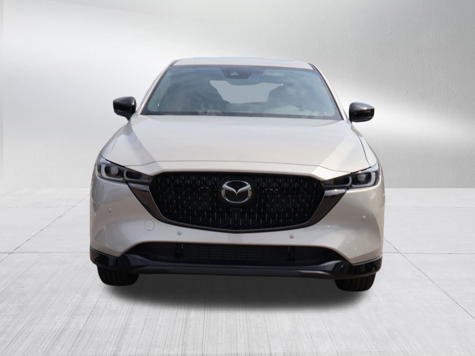 2025 Mazda CX-5 2.5 Turbo Premium photo 2