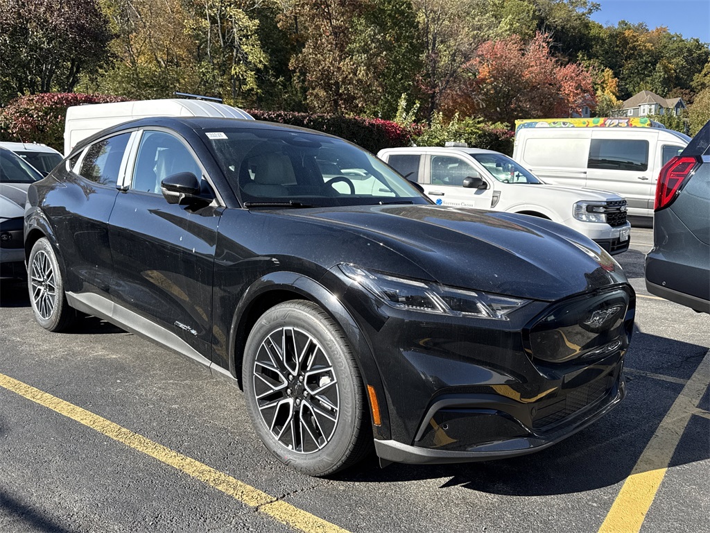 2025 Ford Mustang Mach-E Premium AWD's photo
