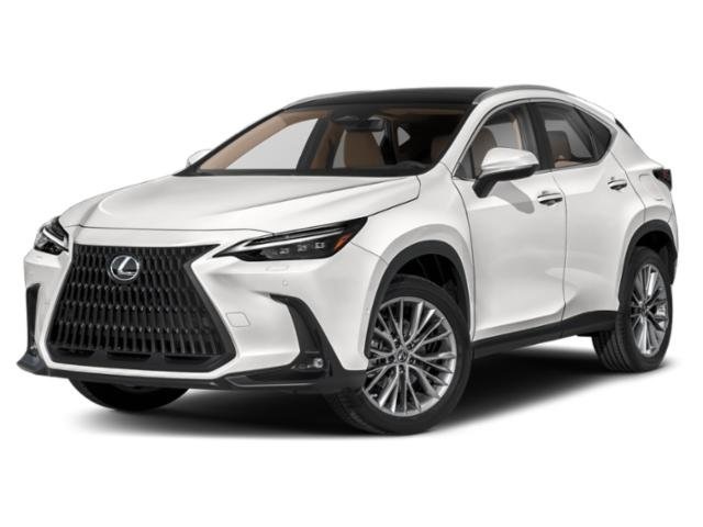 2022 Lexus NX Hybrid 350h's photo
