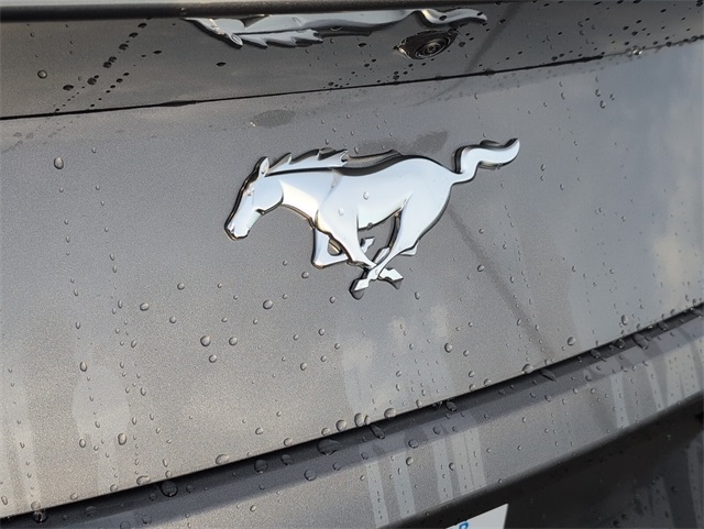 2025 Ford Mustang EcoBoost photo 7