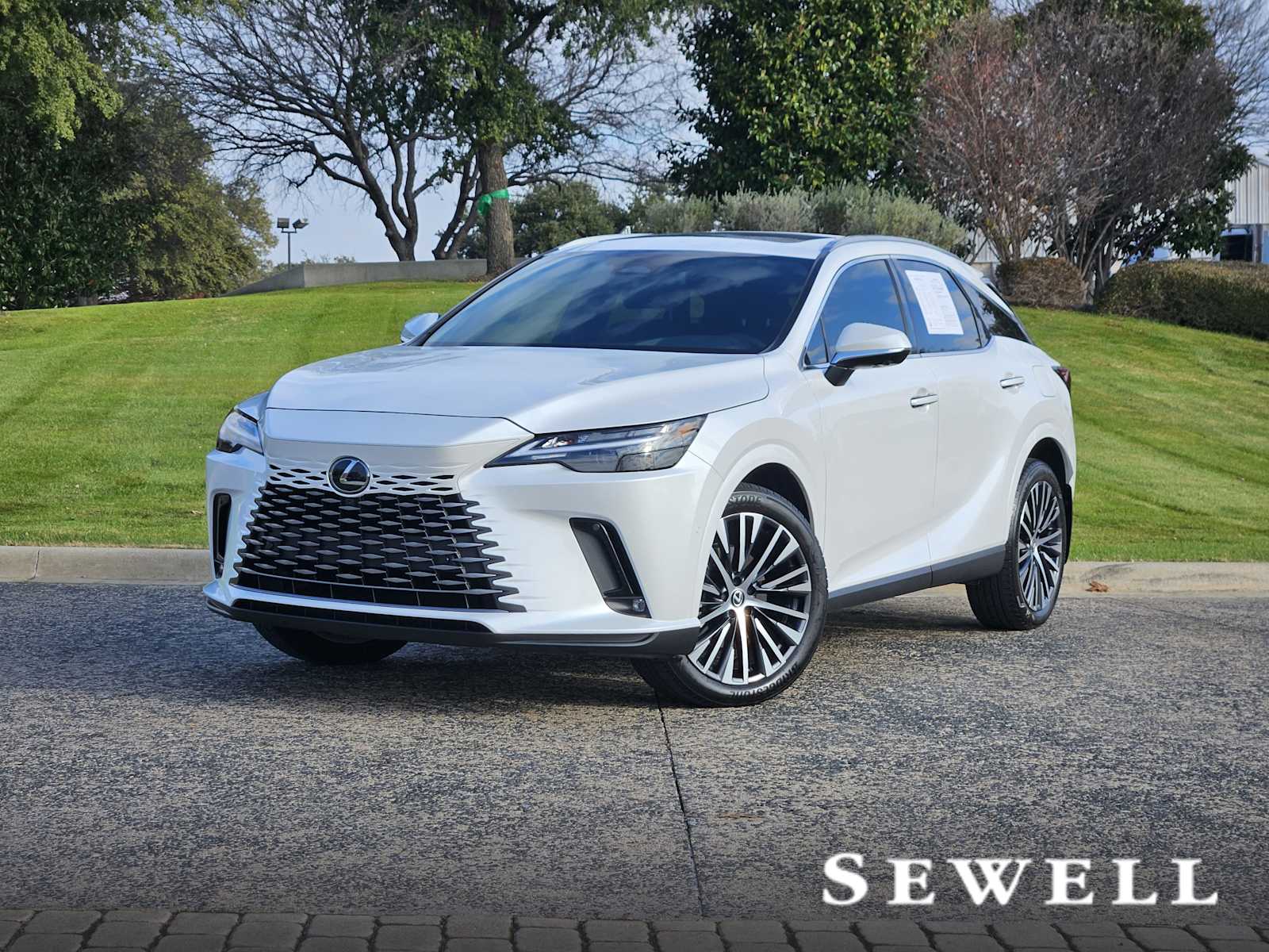 2024 Lexus RX 350's photo