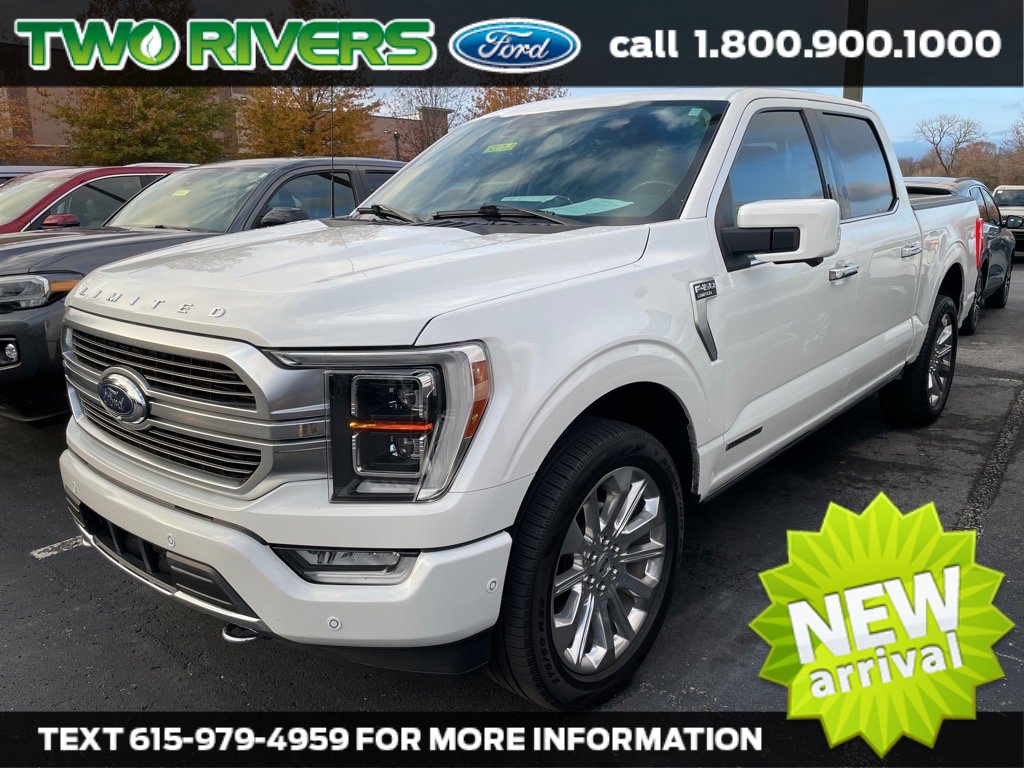 2021 Ford F-150 Limited's photo