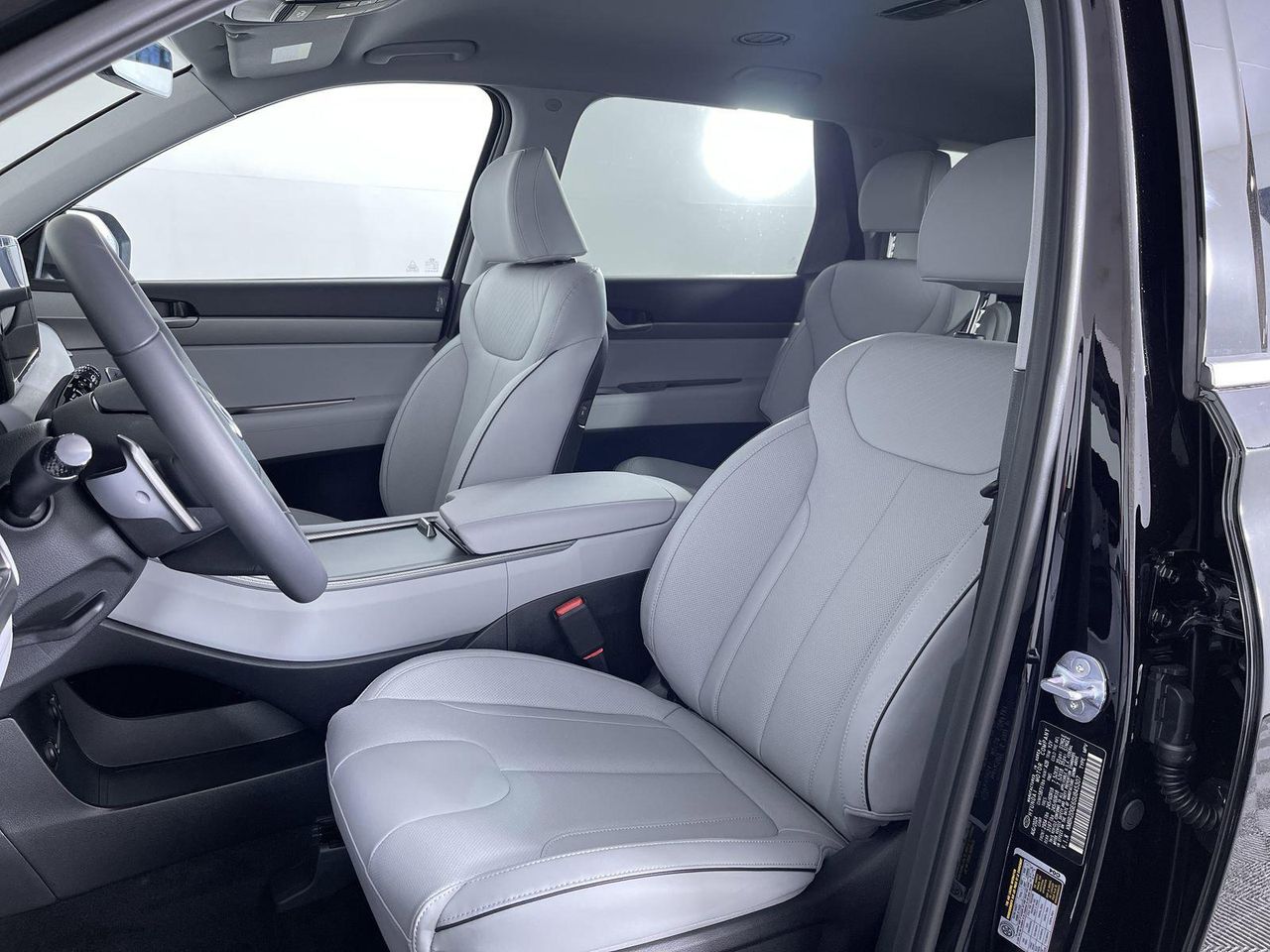 2025 Hyundai Palisade SEL photo 19