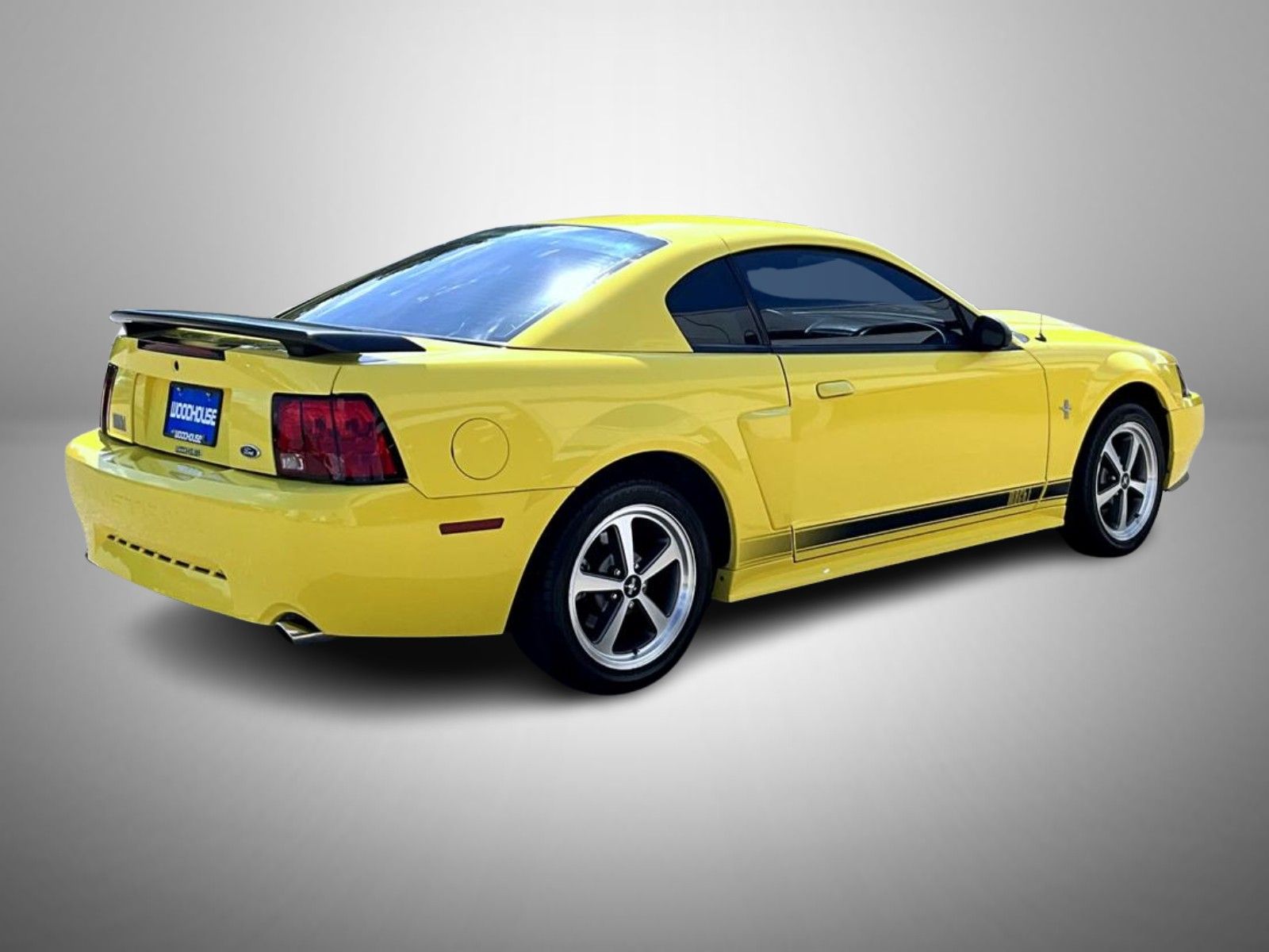 2003 Ford Mustang Mach 1 photo 5