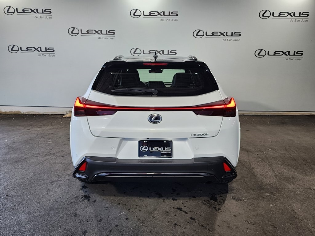 2025 Lexus UX photo 8