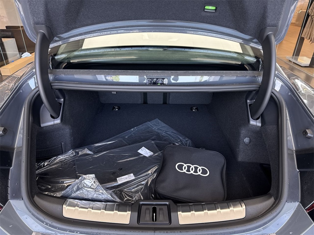 2025 Audi RS e-tron GT Base photo 27