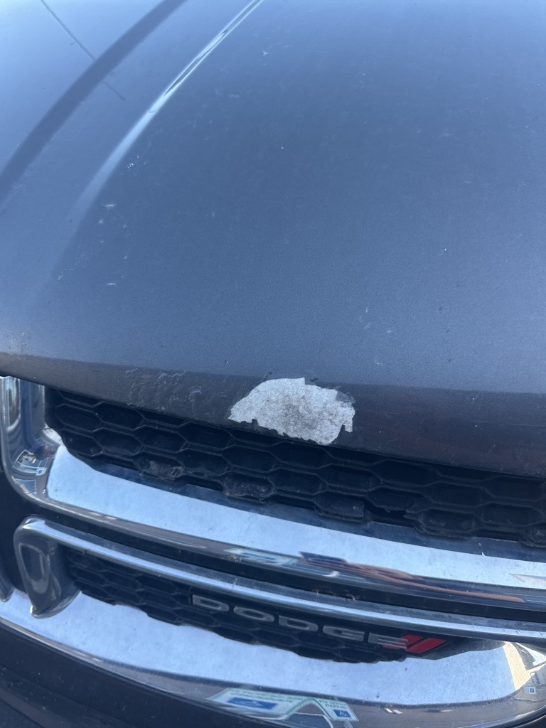 2018 Dodge Grand Caravan SXT photo 3