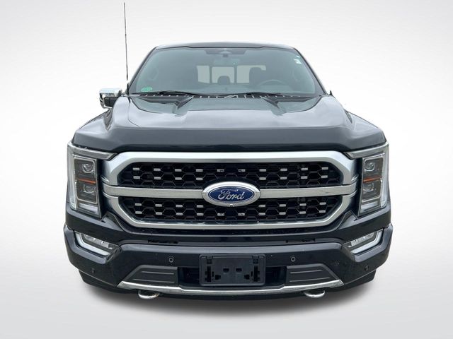 2023 Ford F-150 Platinum photo 9
