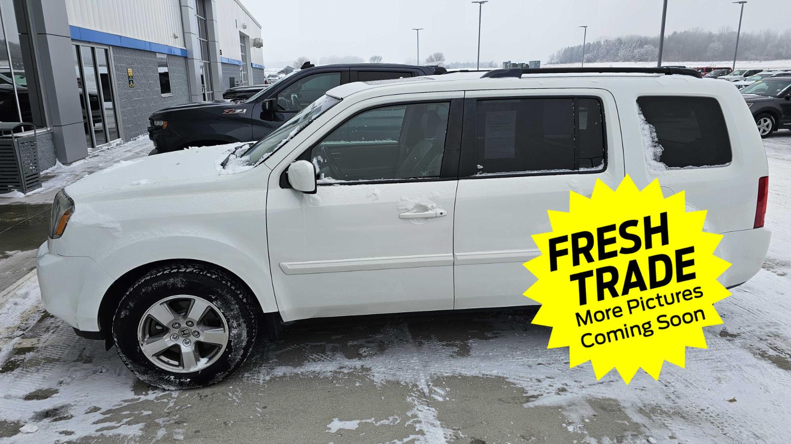 2009 Honda Pilot EX-L photo 4